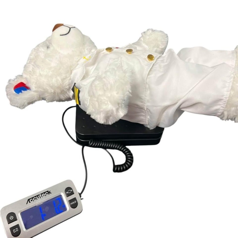 Build-A-Bear Exclusive Carnival Cruise Line White Bear Plush In Captains Uniform - Picture 6 of 6